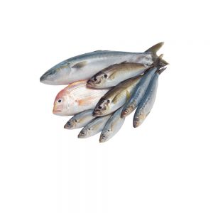 Peixes